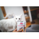 Вологий корм Brit Care Cat Pouch для котів, філе в соусі, пікантний лосось, 85 г