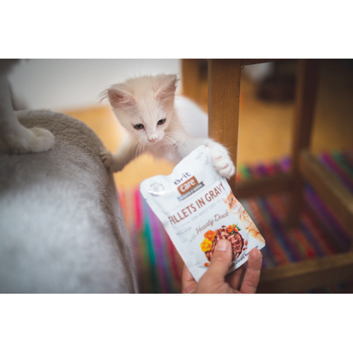Вологий корм Brit Care Cat Pouch для котів, філе в соусі, качка, 85 г