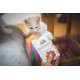Вологий корм Brit Care Cat Pouch для котів, філе в соусі, качка, 85 г