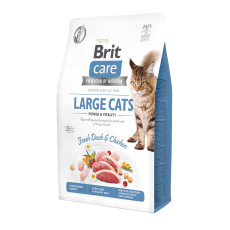 Сухой корм Brit Care Cat GF Large Power & Vitality для кошек больших пород, утка и курица, 2 кг