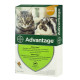 Краплі Advantage від бліх та кліщів для котів до 4 кг (4шт)
