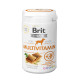 Вітаміни для собак Brit Vitamins Multivitamin для здоров`я, 150 г