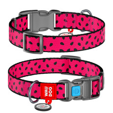 Нашийник для собак WAUDOG Nylon 