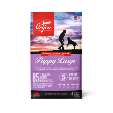 Сухий корм Orijen Puppy Large Breed для цуценят великих порід, 11,4 кг