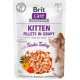 Вологий корм Brit Care Cat Pouch для кошенят, філе в соусі, ніжна індичка, 85 г