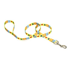 Поводок для собак нейлоновый 1,6смх1,8м,Pet Attire рескю Coastal