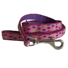 Повідець для собак Pet Attire Weave 1смх1,8м, крапка Coastal