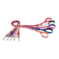 Поводок для собак Pet Attire Weave 1,6смх1, 8м, Coastal