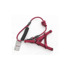 Комплект шлея з повідцем AnimAll HJ-Y304-LН Red 0.8x120x1,5 см