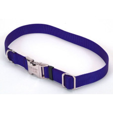 Ошейник для собак Titan Buckle , синий Coastal