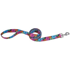 Поводок для собак Pet Attire Style, нейлон, 2 см х 1,2 м,  Coastal