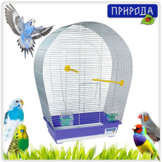 Клітина П Арка больш.