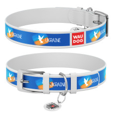 Нашийник для собак шкіряний WAUDOG Design 