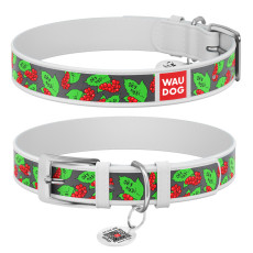 Нашийник для собак шкіряний WAUDOG Design 