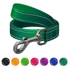 Поводок для собак нейлоновый WAUDOG Nylon Mono, светоотражающий, S, Ш 15 мм, Длина 122 см зеленый