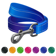 Поводок для собак нейлоновый WAUDOG Nylon Mono, светоотражающий, M, Ш 20 мм, Длина 122 см синий