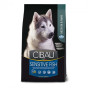 Сухий корм Farmina Cibau Sensitive Adult Fish Medium & Maxi для собак з чутливим травленням, риба, 12 кг