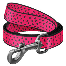Поводок WAUDOG Nylon с рисунком Арбуз, длина 122 см