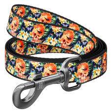 Поводок WAUDOG Nylon с рисунком Гламурные черепа, длина 122 см