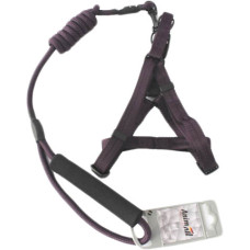 Комплект шлея з повідцем AnimAll, M, 1×120/49-96 см, синій