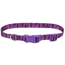 Ошейник для собак Pet Attire Style, нейлон, 2 см х 35-50 см, Coastal