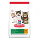 Сухий корм Hill`s SP Kitten Chicken для кошенят і кішок у період вагітності та лактації з куркою, 300 г