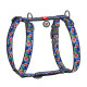 Шлея WAUDOG Nylon с QR-паспортом, рисунок Инжир М, Ш 20 мм, А 40-70, В 50-80