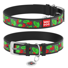 Нашийник для собак шкіряний WAUDOG Design 