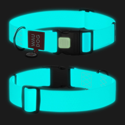 Ошейник для собак WAUDOG Waterproof с QR паспортом, водостойкая, пластиковая пряжка-фастекс, ментоловый