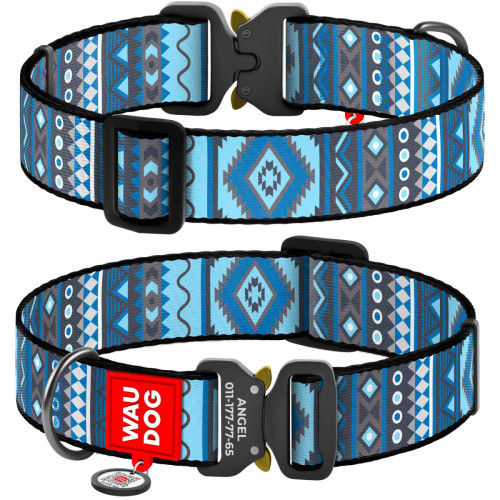 Нашийник для собак нейлоновий WAUDOG Nylon з QR паспортом 