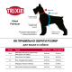 Шлея-петля Trixie Premium для собак, розмір S, синя, 40-50 см/15 мм (нейлон)