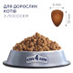 Сухий корм Club 4 Paws Adult Cats with Salmon з лососем для дорослих котів, 300 г