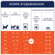 Вологий корм Club 4 Paws з куркою в соусі для кошенят, 80 г