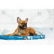 Чохол для лежанки WAUDOG Relax, малюнок Абстракція, S, Ш 55 см, Дл 40см