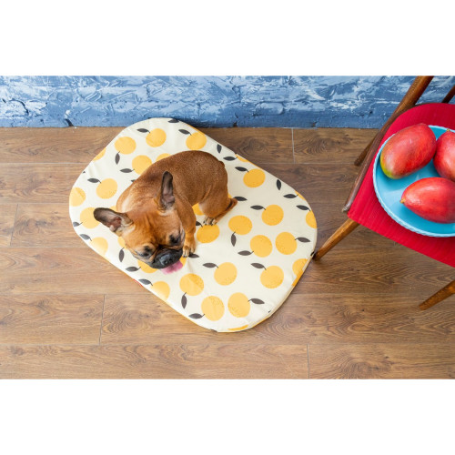 Чохол для лежанки WAUDOG Relax, малюнок Апельсини, М, Ш 80 см, Дл 55 см