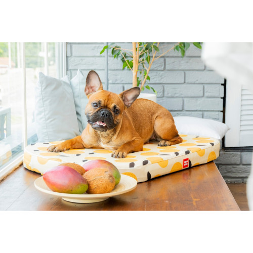 Чохол для лежанки WAUDOG Relax, малюнок Апельсини, М, Ш 80 см, Дл 55 см
