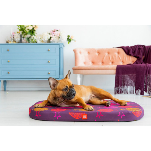 Чохол для лежанки WAUDOG Relax, малюнок  Гранат, М, Ш 80 см, Дл 55 см