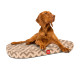 Чохол для лежанки WAUDOG Relax, малюнок Трикутники, L, Ш 100 см, Дл 70 см