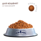 Сухой корм Club 4 Paws Kittens Salmon с лососем для котят, 5 кг