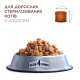 Сухой корм Club 4 Paws Adult Cats Sterilised with Salmon с лососем для стерилизованных кошек, 14 кг