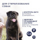 Сухой корм Club 4 Paws Adult Small Breeds Light с индейкой для собак малых пород подвержен ожирению (контроль веса), 5 кг