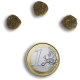 Сухой корм Anima Young & Adult Sterelized Cats для молодых и взрослых стерилизованных кошек с курицей, 2 кг