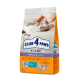 Сухой корм Club 4 Paws Adult Cats Indoor 4 in 1 with Lamb с ягненком для кошек без доступа на улицу, 2 кг