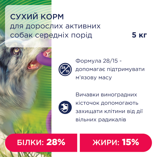 Сухой корм Club 4 Paws Active Adult Medium Breed для взрослых активных собак средних пород, 5 кг