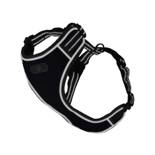 Шлея AnimAll HL-8005-2 для собак, темно-синя, L, 42-50 см/42-79 см