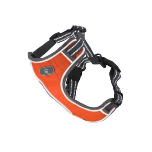Шлея AnimAll HL-8005-1 для собак, помаранчева, M, 30-36 см/38-64 см