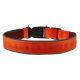 Комплект AnimAll VetLine Double Guard нашийник з протипаразитарною стрічкою, 25 мм, 400 - 500 мм, помаранчевий