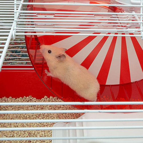 Клітка Ferplast Coney Island White для хом`яків