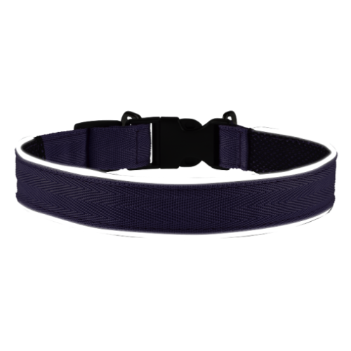 Комплект AnimAll VetLine Double Guard нашийник з протипаразитарною стрічкою, 25 мм, 400 - 500 мм, пурпурний