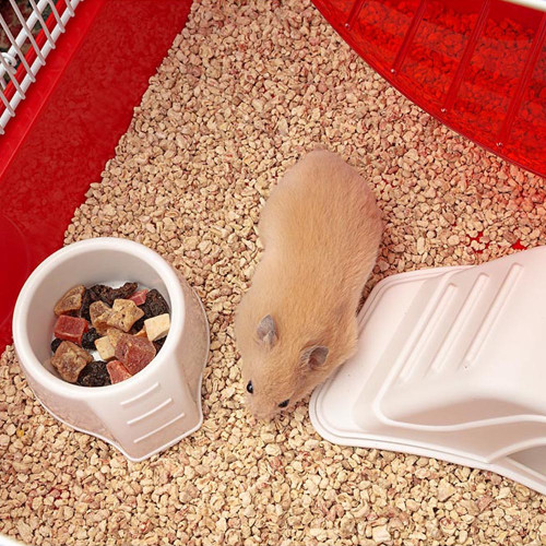 Клітка Ferplast Coney Island White для хом`яків